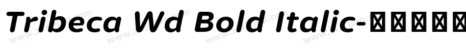 Tribeca Wd Bold Italic字体转换